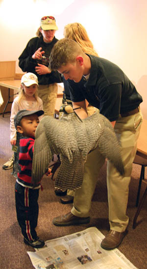 Ryan Kerns of the Air Force Academy lets young Kevin Rowe pet Destiny, a gyrfalcon, during a presentation at the 
Garden of the Gods Visitor & Nature Center.
Westside Pioneer photo