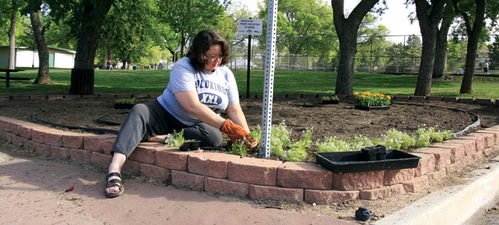 Karen Sucharski starts planting about 900 flowers in the
�Family and Friends of Genny� garden at Thorndale Park the morning of May 31.
Westside Pioneer photo
