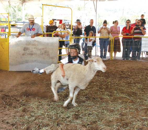 Outside the stadium, a young rider tries to stay on board a sheep in the �Mutton Bustin�� activity for children. 
Onlookers include parents who were paying $10 a ride (which sometimes lasted less than a second).
Westside Pioneer photo