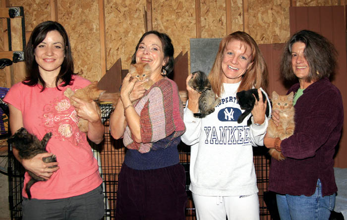 The main volunteers in a Columbia Road neighborhood
effort to end cougar cat-slayings and a related feral cat
overpopulation problem hold the six kittens that came from
the feral colony and are now being offered for adoption.
From left are Renate Johnson, Deborah Janke, Jill Farmer
and Susan Bernstein. The problem started in mid-August when pet cats in the neighborhood were being found mauled and eaten.
Westside Pioneer photo
