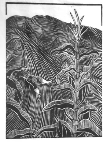 A print by M. ReeAnn Hyde, as displayed in the Old
Colorado City Library�s downstairs in the first of planned
monthly art exhibits. (And what�s happening in that cornstalk at the left?)
Westside Pioneer photo